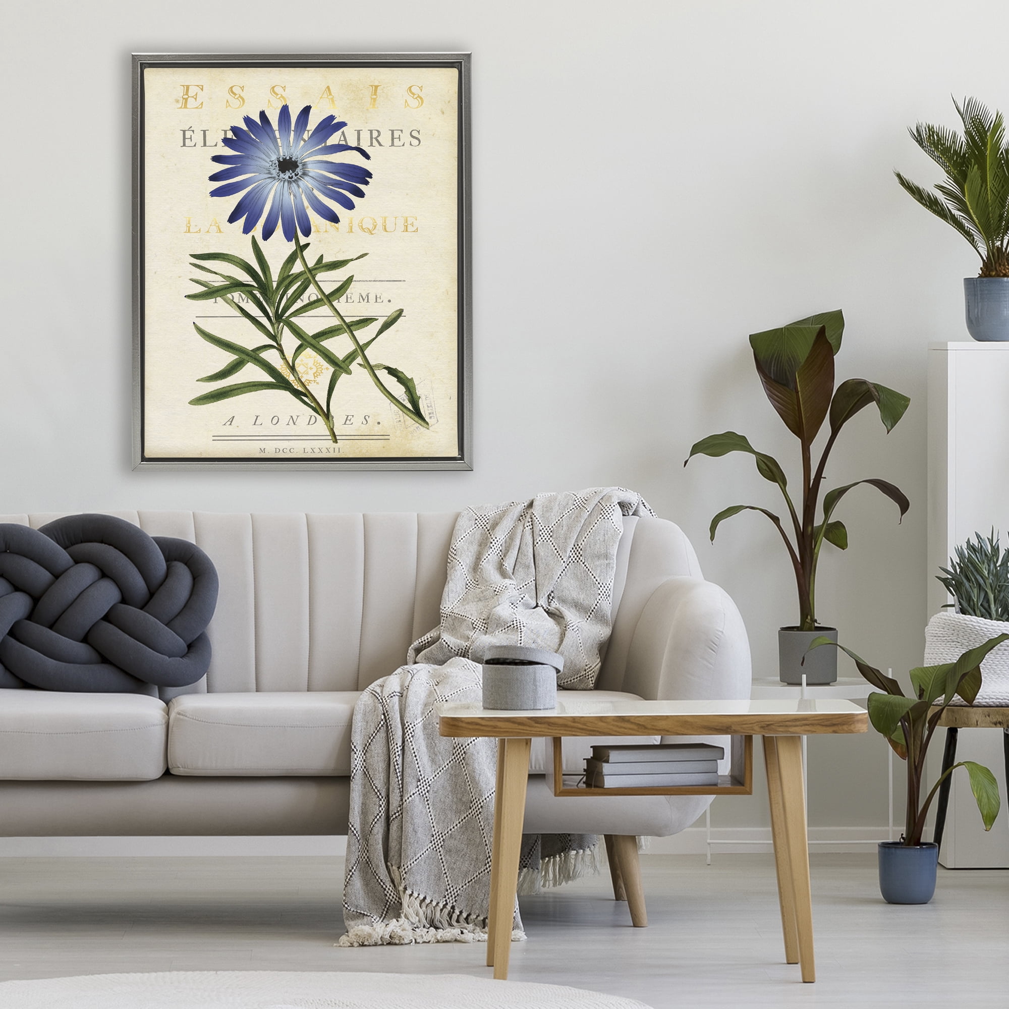 Stupell Industries Natural Botany Daisy Gray Framed Floater Canvas Wall Art, design by Susan Arnot