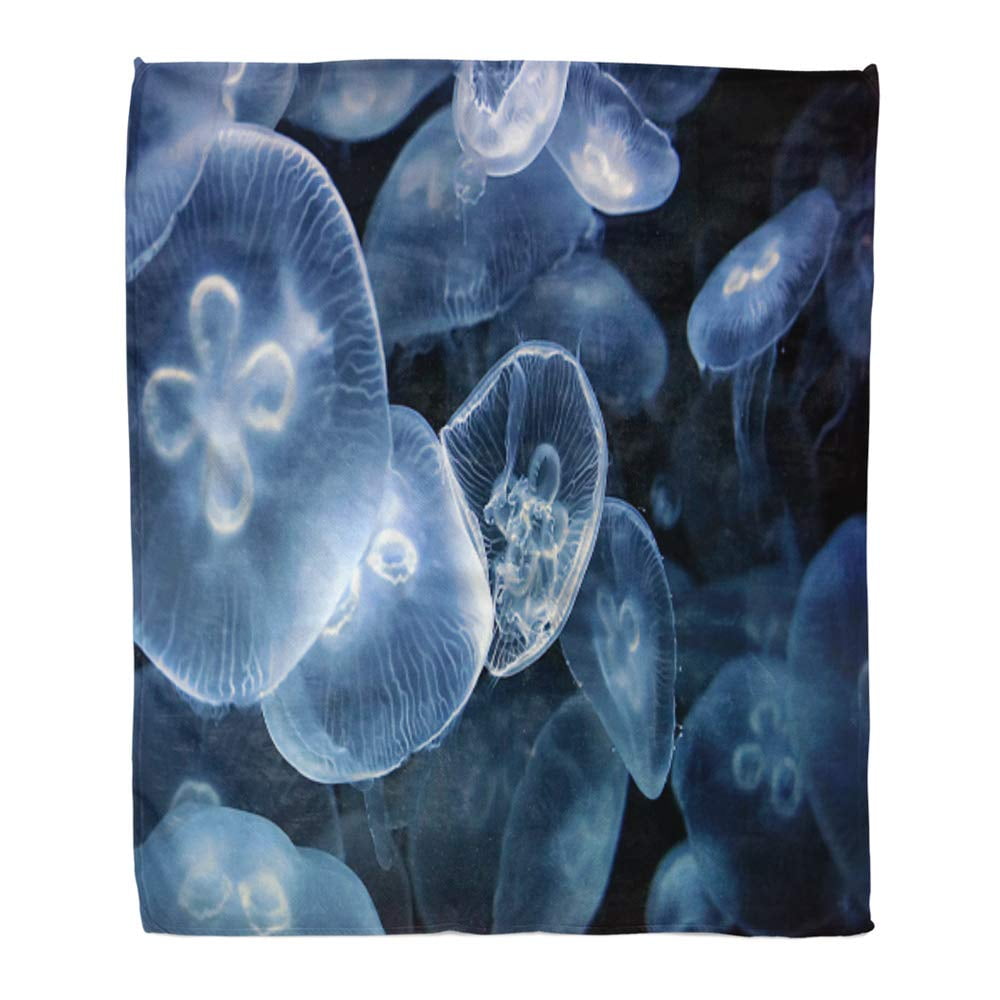 ASHLEIGH Throw Blanket Warm Cozy Print Flannel Blue Beautiful of Many