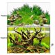thumbnail image 1 of Adhesivo 3D de fondo para acuario, pintura de paisaje oceánico de doble cara, póster con imagen para decoración de acuario, accesorio para pecera, 50 x 150 cm de alto x largo, F, 1 of 5
