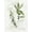 Unframed, variant on Art.com Bay Leaf and Juniper Art Print by Elissa Della-piana, Brown Frame Wall Art, 17" x 21"