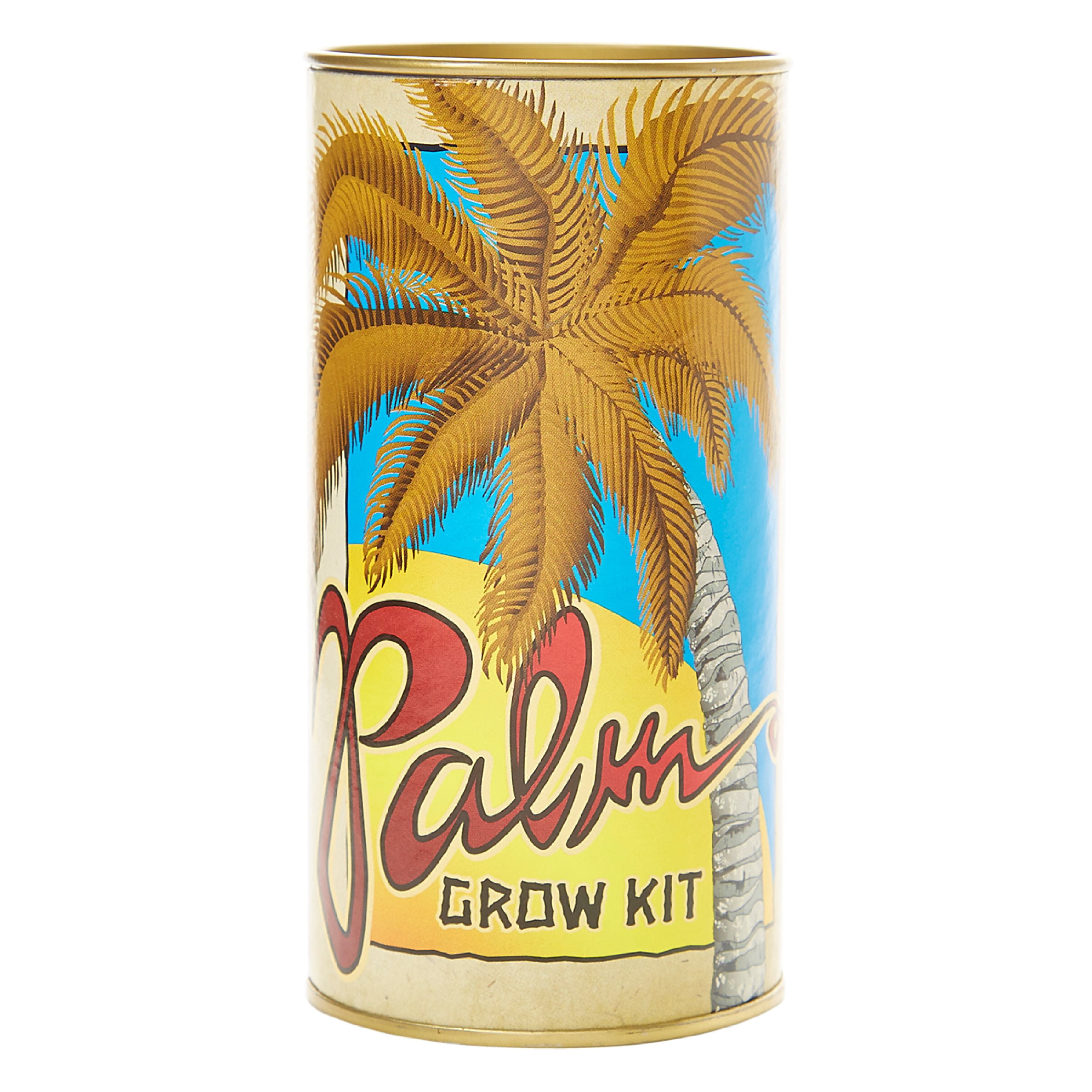 Palm Tree Seed Grow Kit The Jonsteen Company