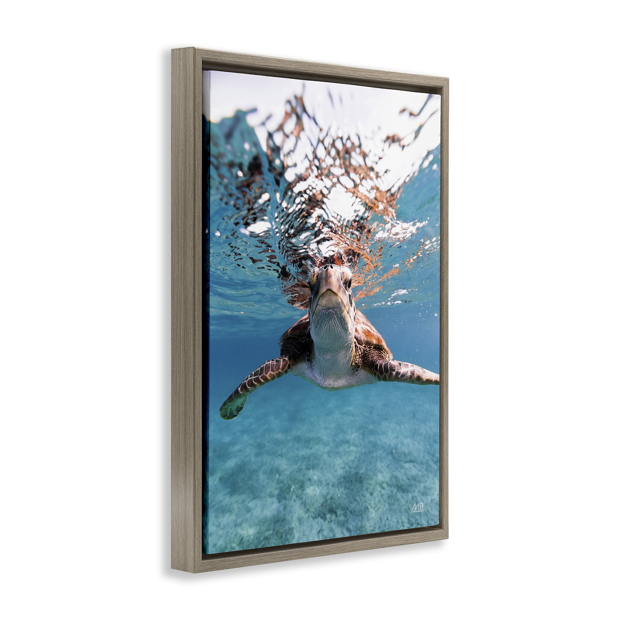 Stupell Industries Hello Sea Turtle Splash Animals Photography Brown Floater Framed Canvas Art Print Wall Art, 17 x 25