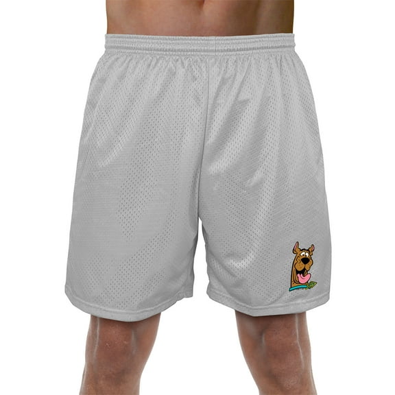 Scooby Doo! Headshot Mens Lined Mesh Shorts, Silver, X-Large