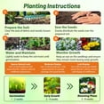 thumbnail image 4 of Outsidepride Low Grow Wild Flower Plant Seeds, Mix, 4 of 5