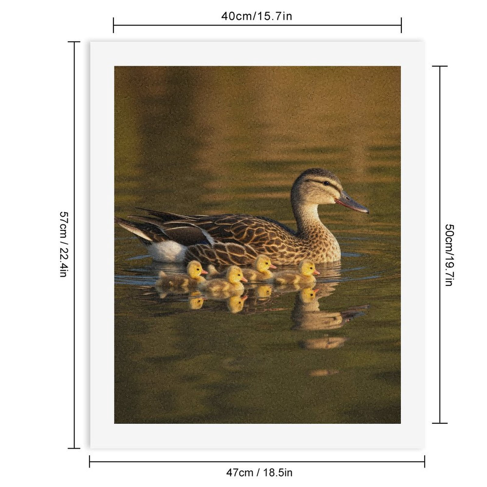Paint by Numbers Kit for Adults, Duck Family Lake Reflections Paint by Numbers, Easy Paint by Numbers Kit for Adults Beginner, DIY Adult Paint by Number Kits on Canvas, Home Decor