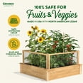 thumbnail image 4 of Greenes Fence 4' x 4' x 10.5" (3/4" Thick) Premium Cedar Raised Garden Bed with CritterGuard Fence System, 4 of 8