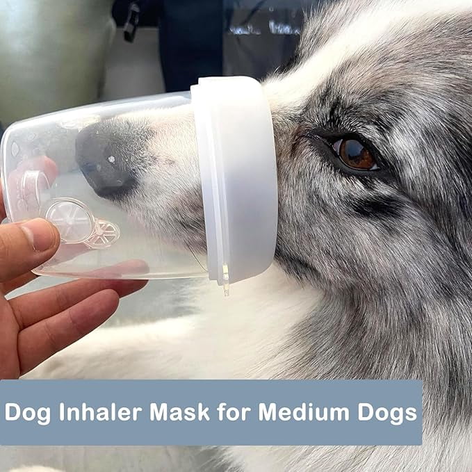 Spacer for Medium Dog,Gray