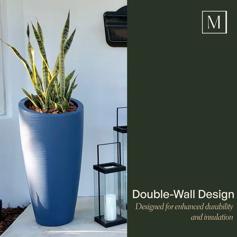 indoor plants that grow in low light Low Light Bundle main image 1