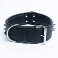 thumbnail image 4 of Spiked Studded Leather Dog Collar, Wide, Padded, Double-Ply, 26" x 2", Black. Stainless Steel (Amsterdam) Rottweiler, Cane Corso. Necks: 20" - 24", 4 of 5