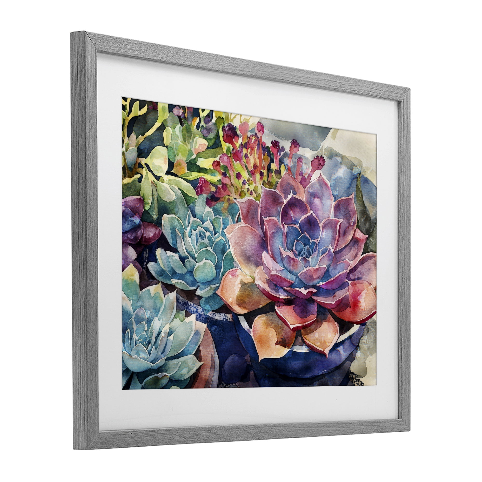 Stupell Industries Sun Kissed Succulents Gray Framed Print Under Glass, design by Svetlana Aleynikova