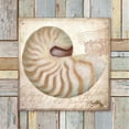 thumbnail image 2 of Medley, Elizabeth 20x20 Gold Ornate Wood Framed with Double Matting Museum Art Print Titled - Beach Shell III, 2 of 4