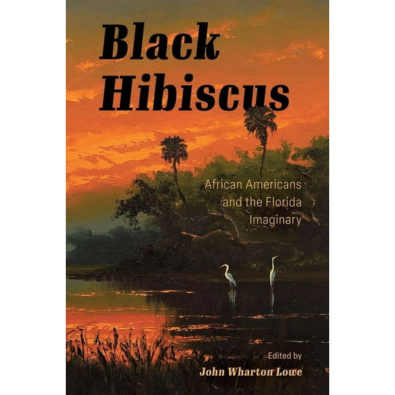 Black Hibiscus: African Americans and the Florida Imaginary, (Paperback)
