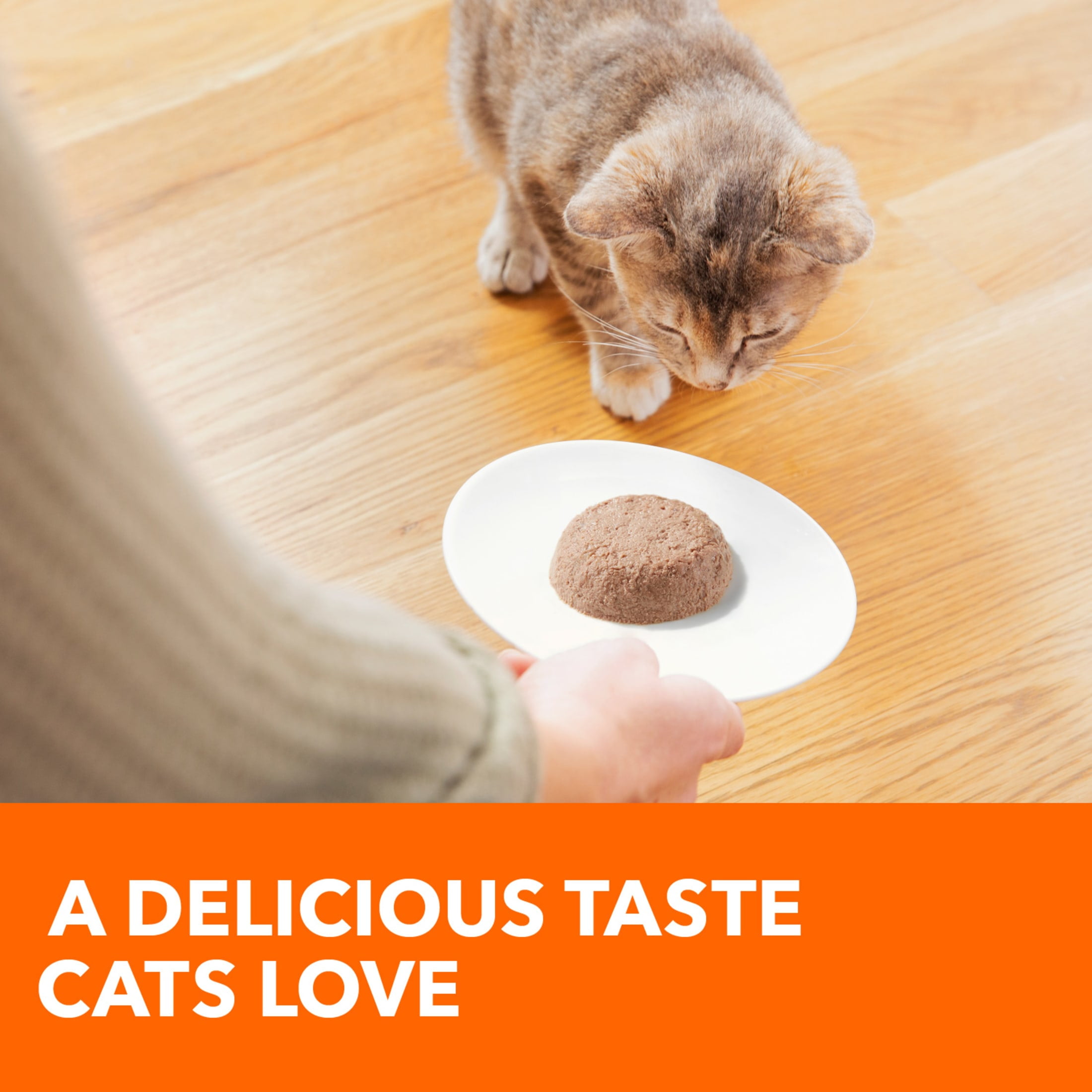IAMS PERFECT PORTIONS Healthy Kitten Grain Free Wet Cat Food Pate Chicken Recipe 2.6 oz. Twin