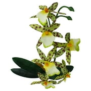 Komodo Silk Orchid Plant with Gravel Base, Aquarium Decor, 14 Inches Tall