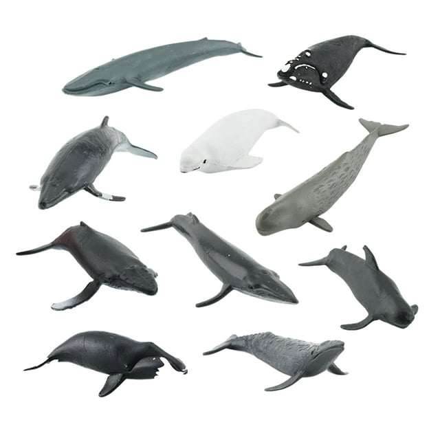 Bearachild Juego de figuras de animales marinos de océanos, resistentes y confiables, regalos de forma única, aprendizaje temprano, 10 piezas Decoración del hogar