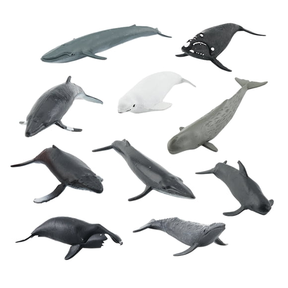 Yuarrent 10 unids/set de figuras de ballena realistas de aprendizaje temprano, juguete, decoración atractiva resistente y confiable Decoración del hogar