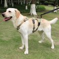 thumbnail image 2 of Soft Dog Harness Pet Vest Harness Escape-proof Breathable Step-in Adjustable Buckle No Pull Dog Chest Harness Pet Supplies Breathable Pet Vest Harness, 2 of 8