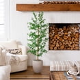 thumbnail image 6 of Nearly Natural 5ft. Artificial Shady Lady Black Olive Tree, 6 of 6