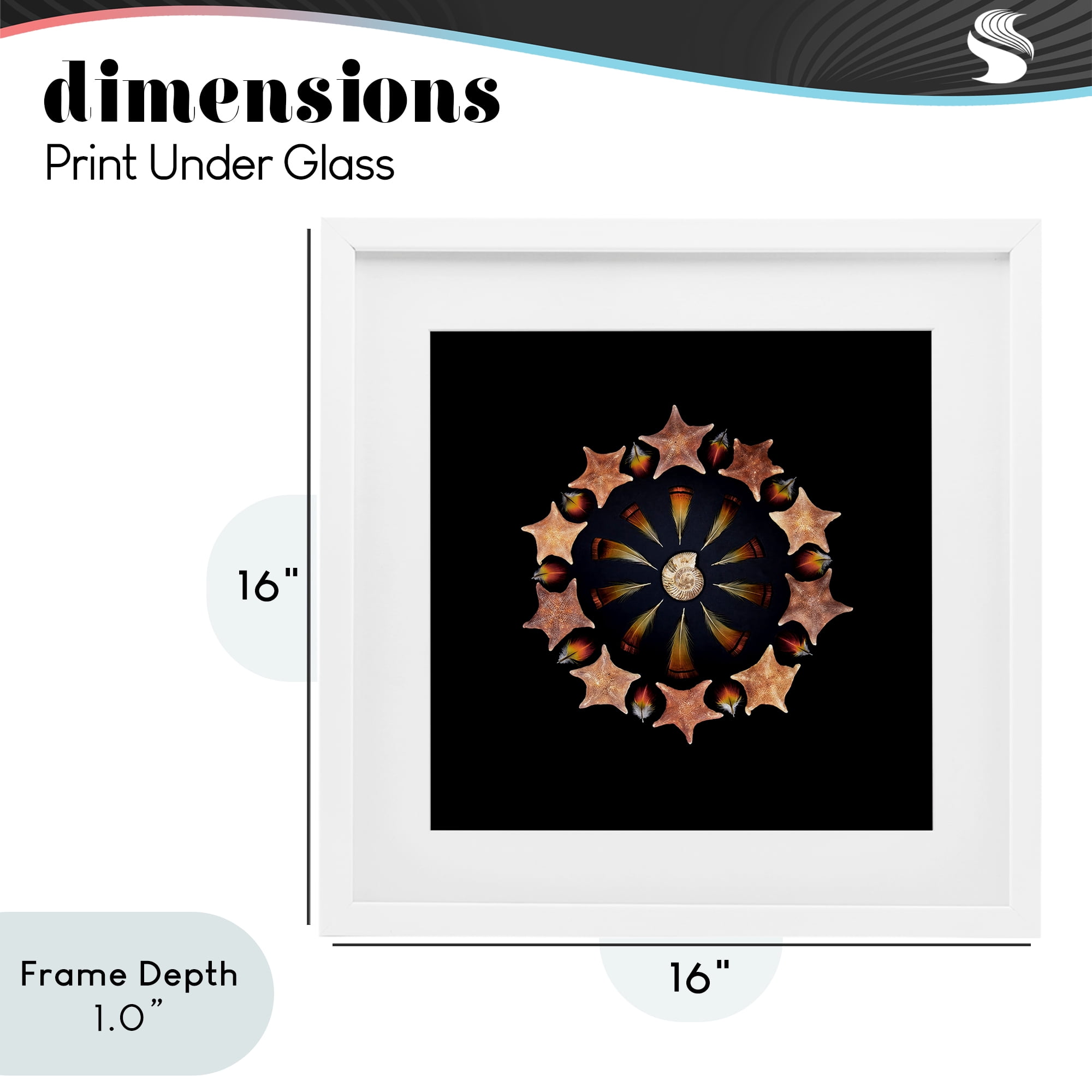 Stupell Industries Nautical Nature Arrangement White Framed Print Under Glass, design by Beth Adoette