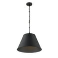 thumbnail image 4 of Savoy House 7-132-1-89 Alden 1 Light Black Pendant (12" W x 9"H), 4 of 4
