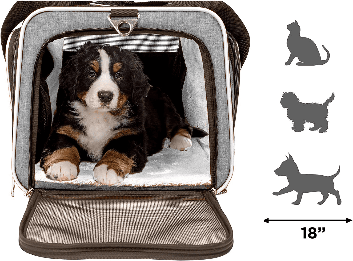 Rover Pet Carrier  Cruiser / Touring