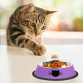 thumbnail image 6 of 2Pcs/3Pcs Cat Bowls Non-Slip Stainless Steel Small Cat Food Bowls Unbreakable Thicken Cat Feeder 7 Oz Cat Dishes Suitable for Indoor Small Pets Removable Rubber Base Easily Clean, 6 of 6