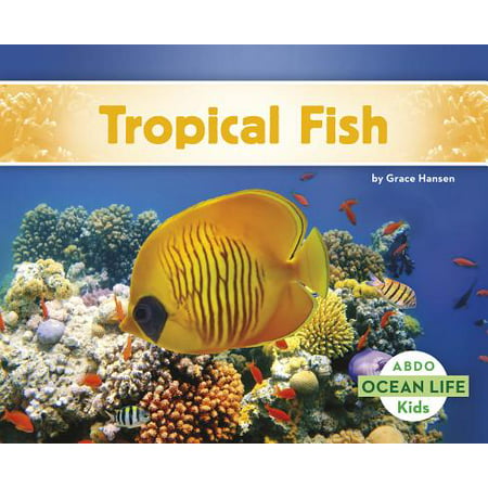 Tropical Fish (Best Tropical Fish For Beginners)