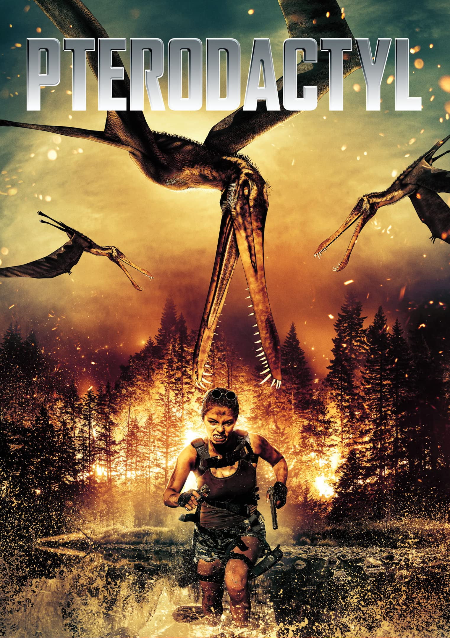その他 Pterodactyl [DVD] [Import] 2ff7d727-9456-4757-a69f-