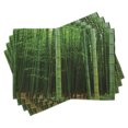thumbnail image 1 of Ambesonne Green Place Mats Set of 4, Exotic Tree Forest Scenery, Standard Size, Fern Green, 1 of 6