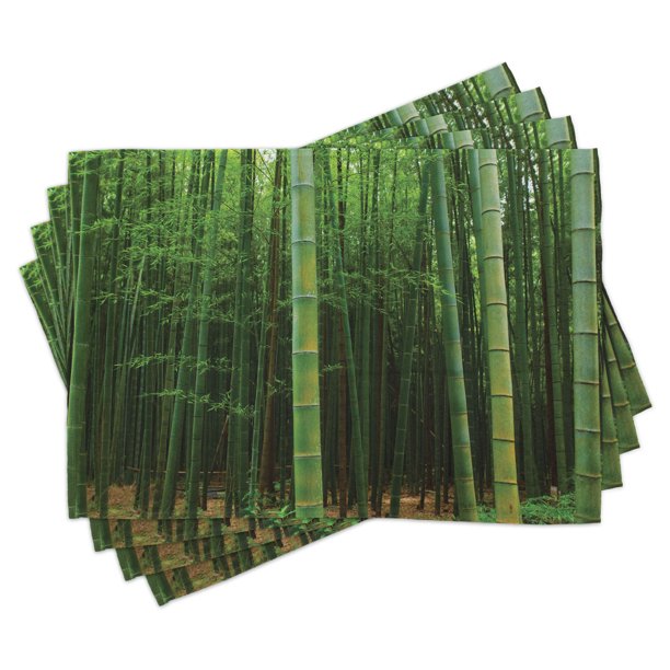 Bamboo Placemats Set of 4 Picture of a Bamboo Forest Exotic Fresh