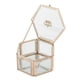 thumbnail image 3 of Estuche organizador de cosméticos, contenedor de bonsái, para baratija, , broches, relojes, viajes, hogar, jardín, regalos de Salvador cajas de organizador de joyas de maquillaje, 3 of 7