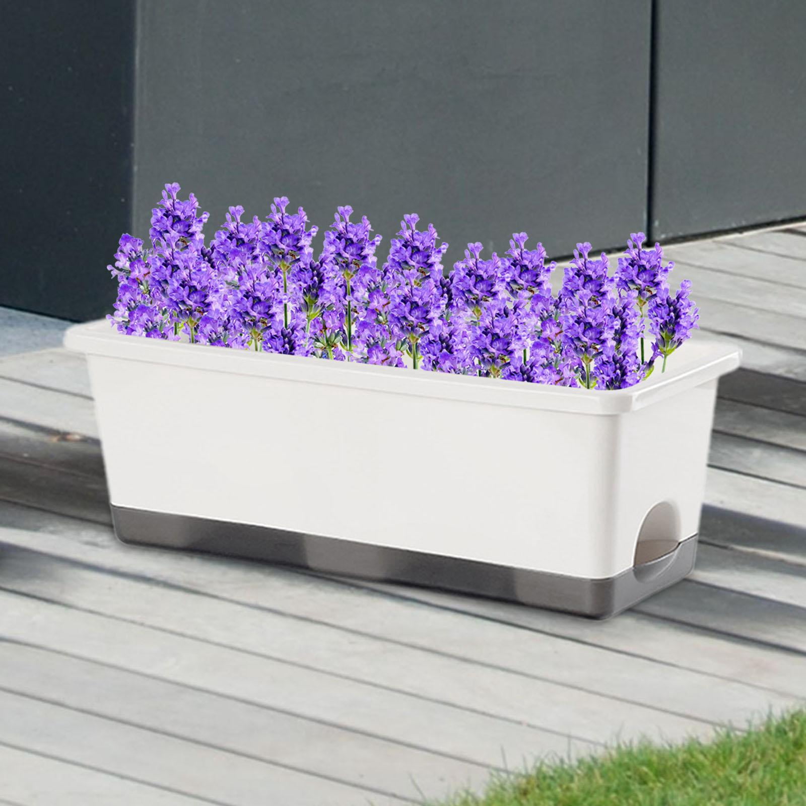 Colaxi Window Box Planter Windowsill Planter Organizer Balcony Planter Box Unique Plant Container Rectangular for Yard Porch Balcony White 1pc
