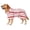Red, variant on Quick-Drying Dog Bathrobe, Super Absorbent Pet Towel Robe with Adjustable Belly Band, Soft Fast Drying Dog Bath Wrap for Small Medium Large Dogs