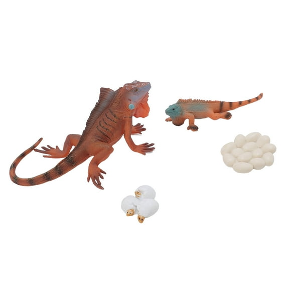 Model Iguana Life Cycle Model Set Growth Lifelike PVC Plastic Toy Early Education Animal Figures