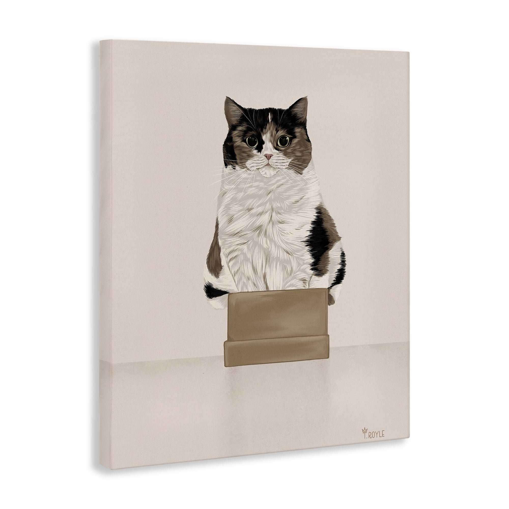 Stupell Industries Cat in Cardboard Box Animals & Insects Painting Gallery Wrapped Canvas Art Print Wall Art, 16 x 20