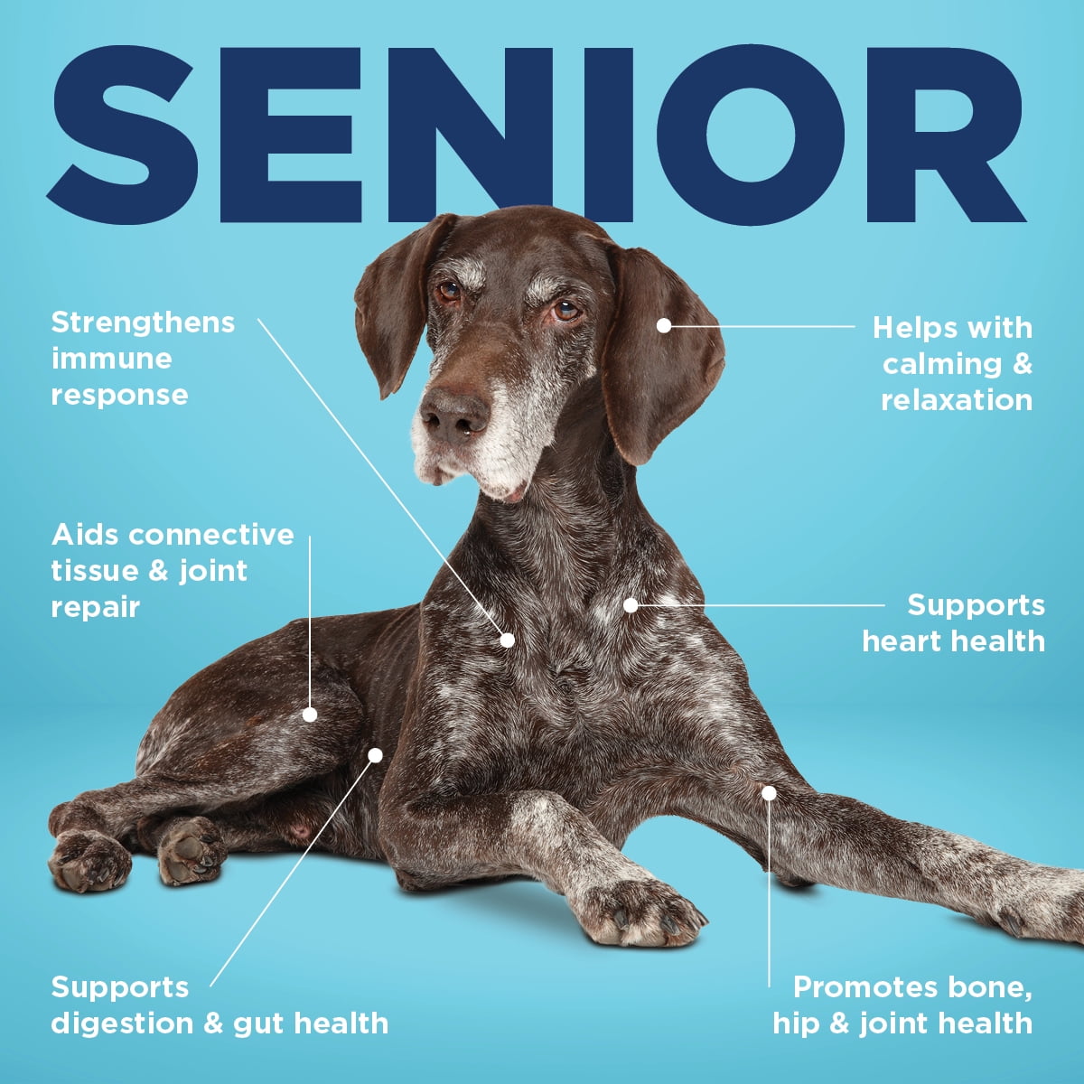 Vetericyn ALL-IN 1 Senior Dog Supplement, 90ct