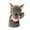 Wolf-4, variant on Animal Hand Puppets with Movable Mouth Cartoon Piglet Stuffed Animal Plush Puppets Toys Interactive Plush Toys Kids Adults Hand Puppets for Role Play Storytelling Show Theater