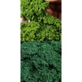 thumbnail image 1 of 2 piezas de modelo de de polvo de resina de árbol para modelos de construcción ferroviaria, 1 of 9