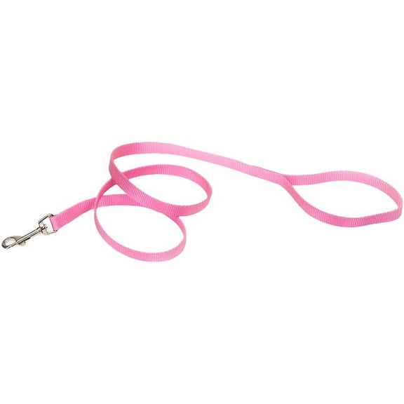 Coastal Pet Products 00404-PKB04 0.62 in. x 4 ft. Single-Ply Nylon Training Dog Leash, Pink