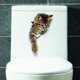 thumbnail image 2 of 6 uds 3D lindo gato decorativo pegatinas de pared para baño, decoración de pared de gatito roto para decorar dormitorio, baño, 2 of 5