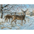 thumbnail image 6 of Cobble Hill 500 piece puzzle - Winter Deer - reference poster included, 6 of 7