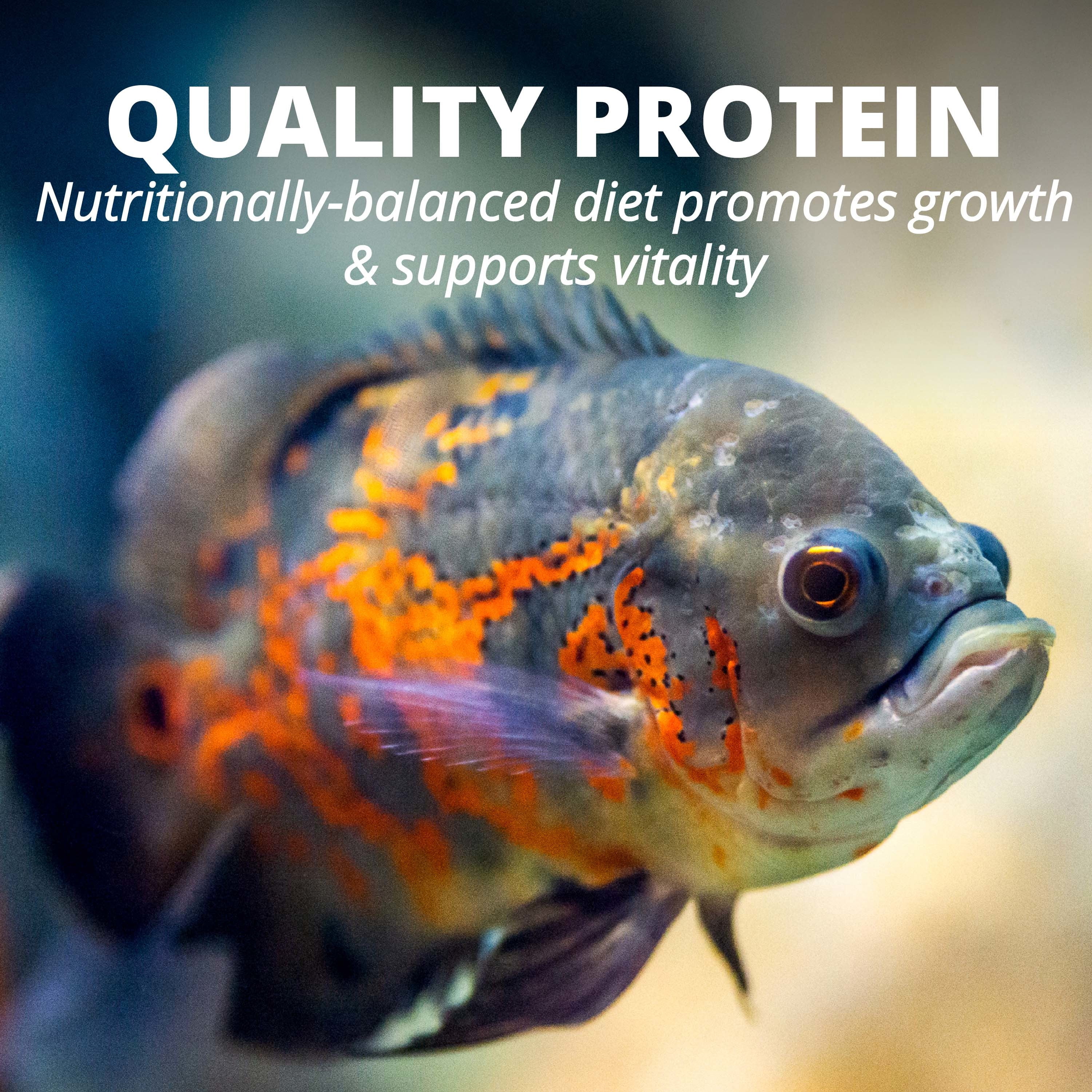 Tetra TetraCichlid Floating Cichlid Sticks Fish Food, Nutritionally Balanced Diet, 5.65 oz.