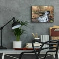 thumbnail image 6 of Epic Art 'Waterfall Steps at Pigeon Run' by Lori Deiter Acrylic Glass Wall Art, 16"x12", 6 of 8