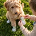 thumbnail image 2 of Disposable Dog Boots for Paw Protection, with Adjustable Self-Adhesive Bandage, for Outdoor & Indoor Walking 3*6In, 2 of 6
