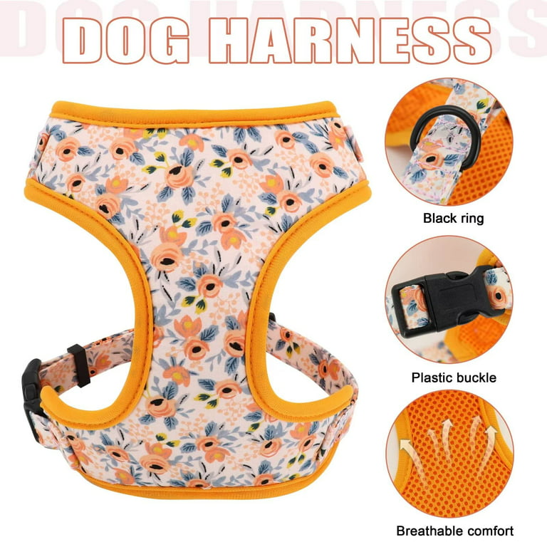 Dog Collars - Buy Dog Collars Online Starting at Just ₹80