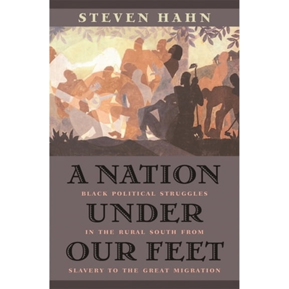 A Nation Under Our Feet (Paperback)