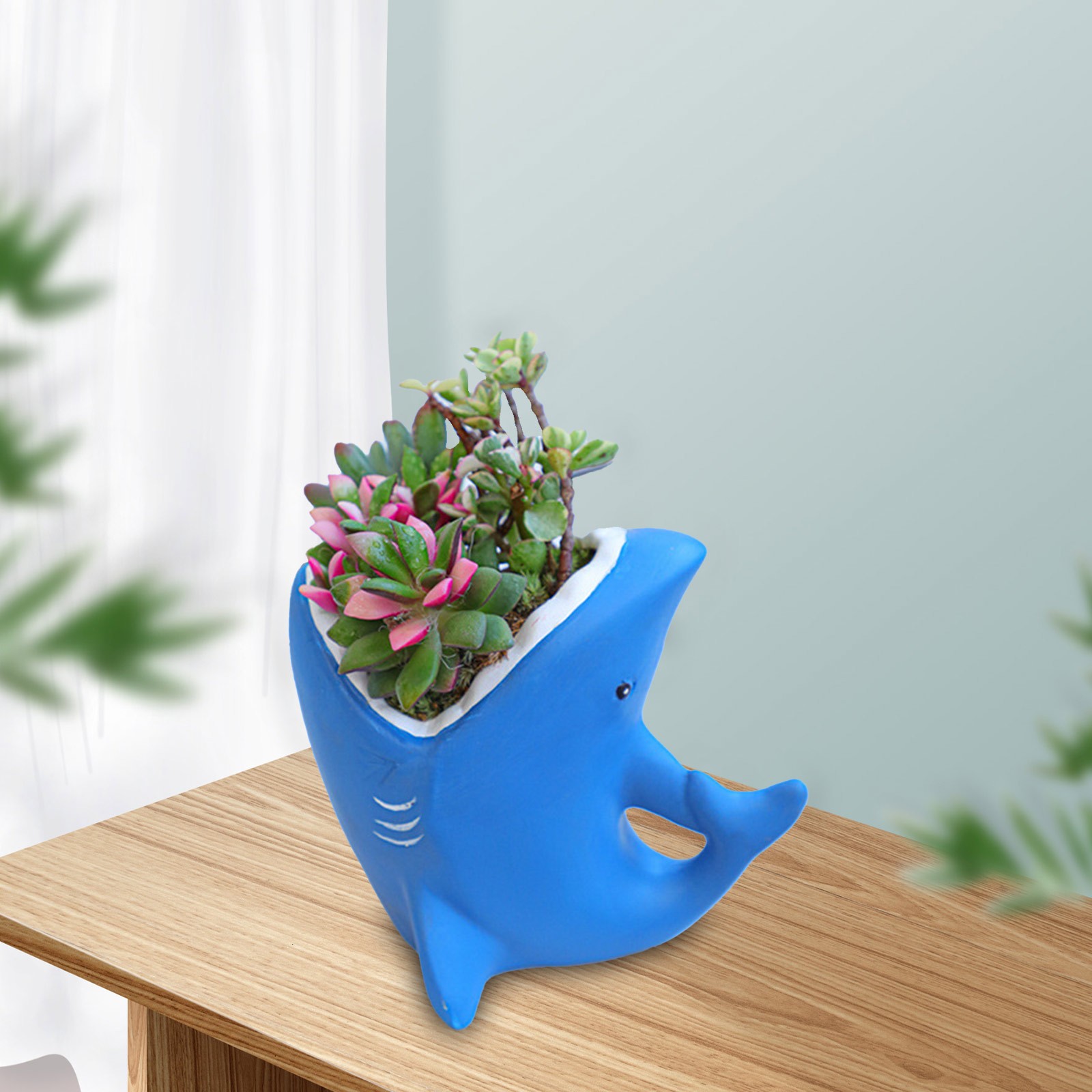 pots-nursery-pots-nursery-pots-for-ceramic-succulent-flower-pot-cartoon