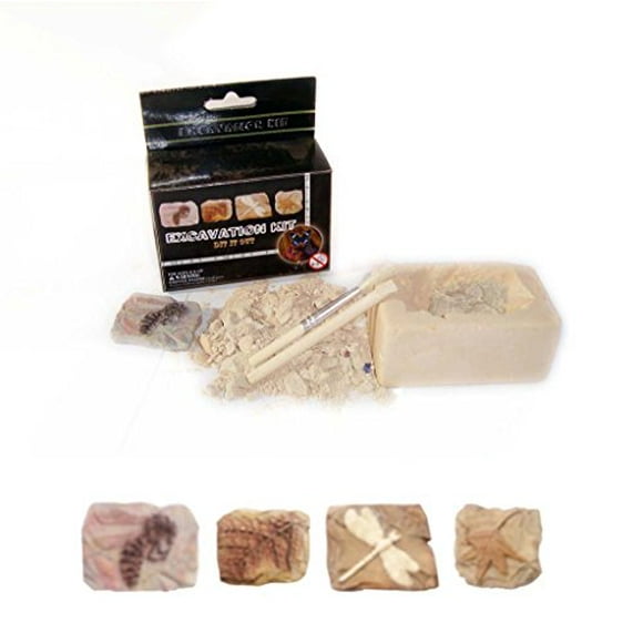 NW Active Kids Small Fossil Excavation Kit