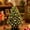 A, variant on DIY Mini Christmas Tree Kit C - Plastic Beaded Halloween Tree with Ornaments for Desktop, Office, and Holiday Decor