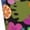 2 Black-2, variant on Honeii Hawaiian Style Print Long Socks,Novelty Design Socks Gift for Men and Women,Crew Socks,Calf Socks